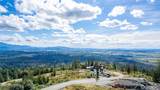 3140 Blanchard Knob Trail - Photo 12
