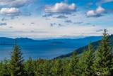 3140 Blanchard Knob Trail - Photo 14