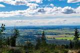 3140 Blanchard Knob Trail - Photo 16