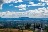 3140 Blanchard Knob Trail - Photo 18
