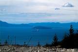 3140 Blanchard Knob Trail - Photo 3