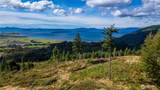 3140 Blanchard Knob Trail - Photo 32