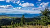 3140 Blanchard Knob Trail - Photo 8