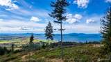 3140 Blanchard Knob Trail - Photo 9