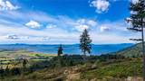 3140 Blanchard Knob Trail - Photo 10