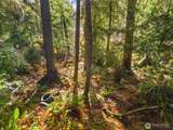 30 Tahuya Drive - Photo 8