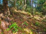 30 Tahuya Drive - Photo 9