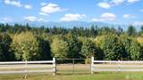 25965 Tytler Road - Photo 18
