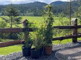 4263 Orcas Road - Photo 34
