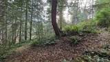 0 Kautz Place - Photo 7