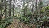 0 Kautz Place - Photo 8