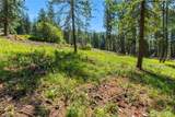 22125 Appaloosa Lane - Photo 3