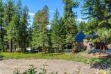 22125 Appaloosa Lane - Photo 5