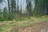 0 0 Fall River Road - Photo 10