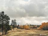 37227 Long Road - Photo 22