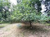 3910 Harstine Island Road - Photo 35