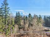 41524 Meridian E - Photo 24