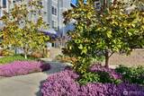300 High School Road - Photo 28