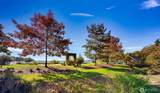 8329 Juanita Drive - Photo 14