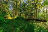 5326 Reese Hill Road - Photo 17