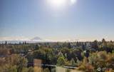 3201 Pacific Avenue - Photo 24