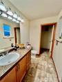 4331 Fuchsia Drive - Photo 18