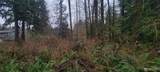 11228 312th Avenue - Photo 1