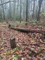 35750 Military Road - Photo 5