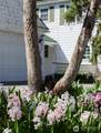 444 Washington Street - Photo 36