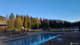 44951 Blacktail Loop - Photo 8