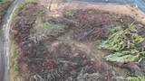 275 Livingston Heights Drive - Photo 10