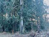 0 Valley Ridge Road - Photo 2