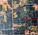 0 Whiteman Road - Photo 10