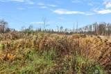 7125 Kickerville Road - Photo 4