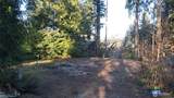44953 Blacktail Loop - Photo 1
