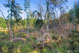 0 Harstine Island Road - Photo 5