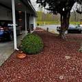 3611 I Street - Photo 29
