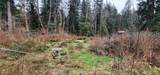 7836 Delphi Road - Photo 8