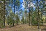 131 Gold Leaf Lane - Photo 4