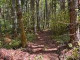 0 Chuckawa Lane - Photo 6