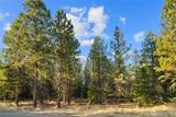 131 Gold Leaf Lane - Photo 4