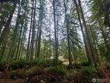 11312 Yoman Road - Photo 6