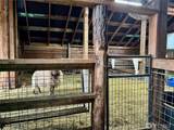 4396 Northport Flat Creek Road - Photo 12