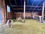 4396 Northport Flat Creek Road - Photo 13