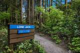 10500 Mt Baker Hwy - Photo 29