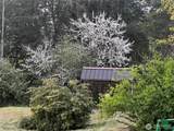 106 Crocker Lake Road - Photo 12