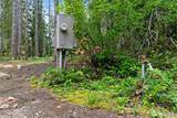 1291 Potlatch Drive - Photo 9