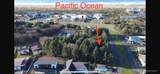 886 Ocean Shores Boulevard - Photo 4