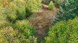 14440 Vantine Road - Photo 13