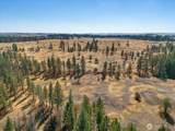 36377 Bootstrap Ln - Photo 12